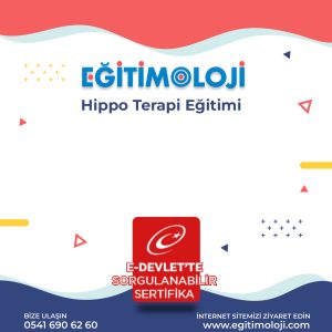 Hippo Terapi Eğitimi