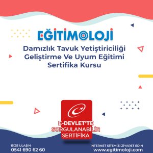Damızlık Tavuk Yetiştiriciliği Geliştirme Ve Uyum Eğitimi Sertifika Kursu